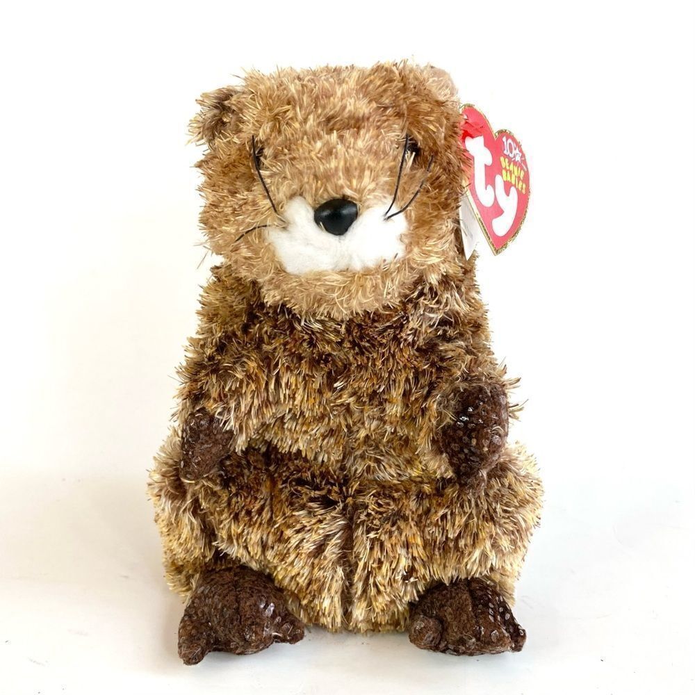 TY Beanie Baby PUNXSUTAWN-e PHIL the Groundhog Internet Exclusive 6” Tall Brown